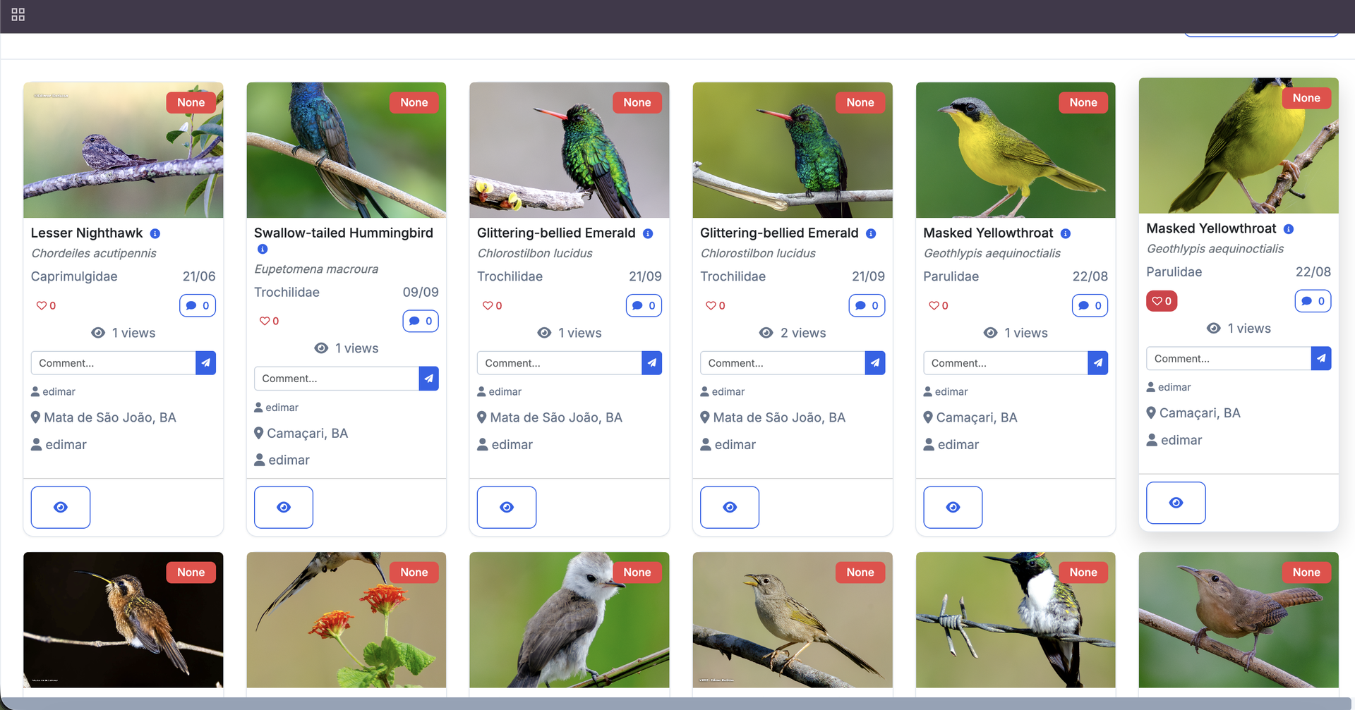 Birds Of Brazil